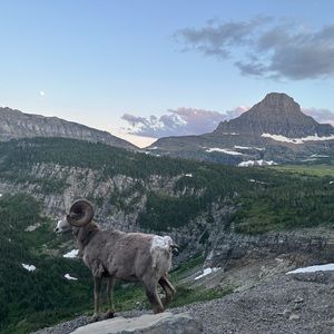 Meet your Posher, Samantha